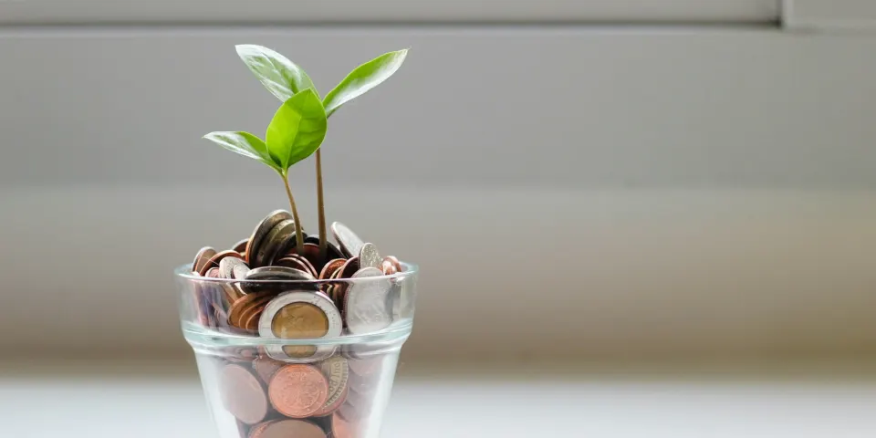 Frasco de vidrio con monedas y una pequeña planta creciendo