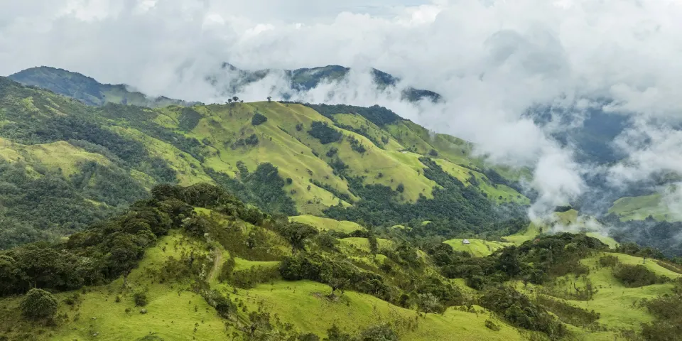 Montañas verdes cubiertas por nubes en una zona de bosque andino